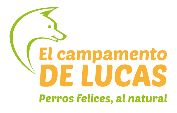 El campamento de Lucas